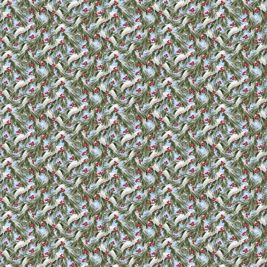 Fabracanni Math Winter Welcome – Fabricana