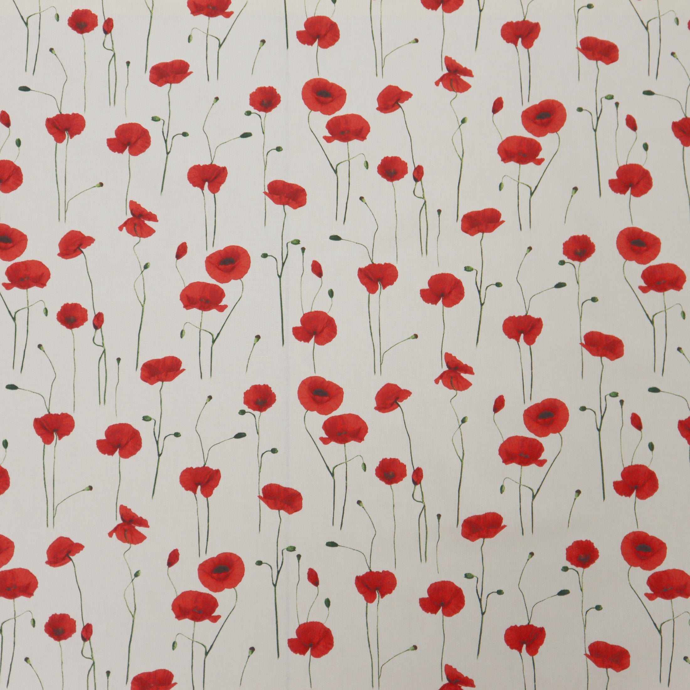 (Poppy Field/ Red)