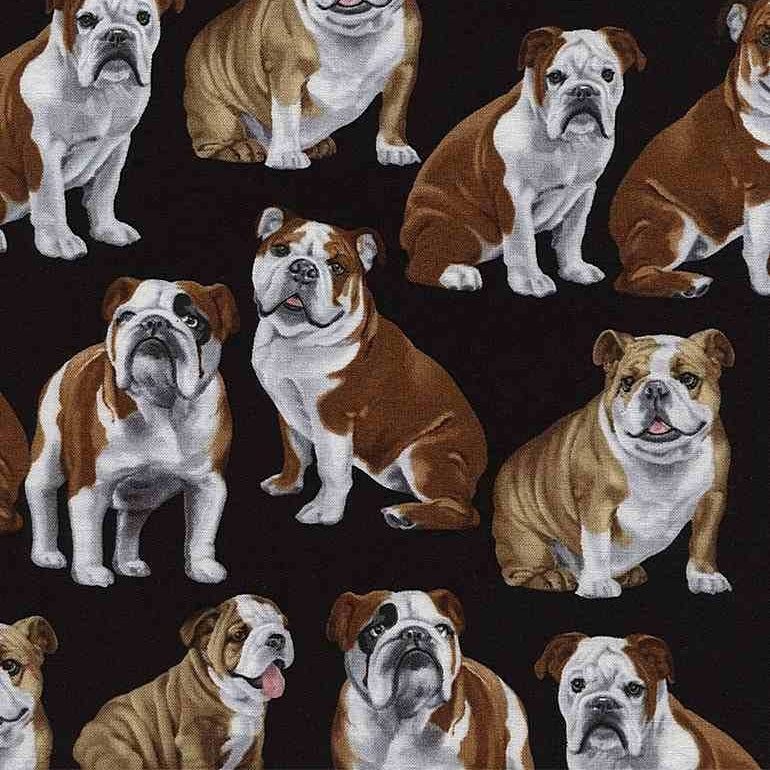 (C4891/ Bulldog)