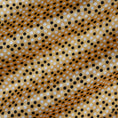 Load image into Gallery viewer, (Polka Dots/ Yellow/Black)
