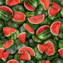 (28449/ GR - Watermelon)