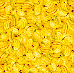 (28451/ S - Banana)