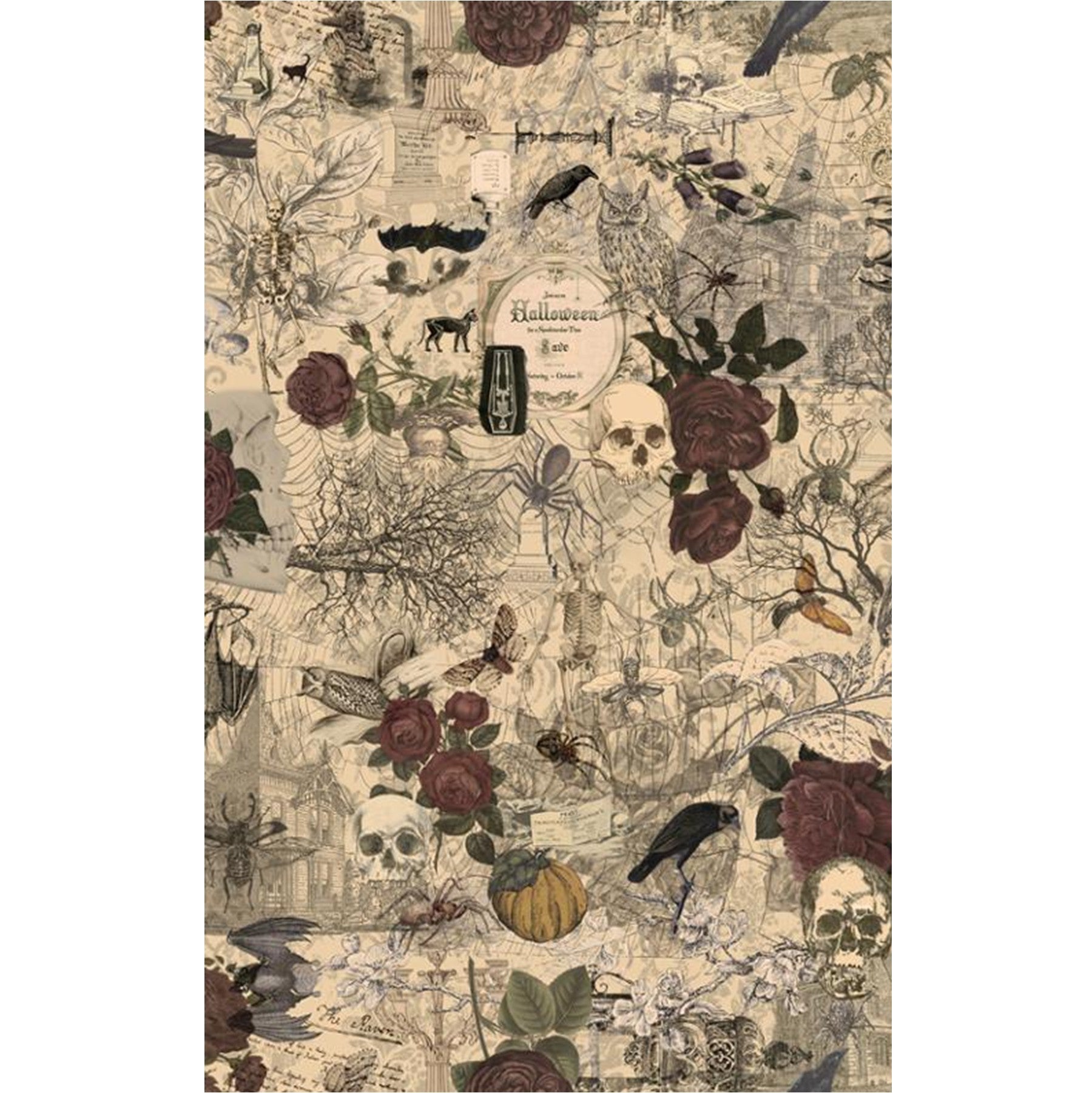 3 Sisters Favorites Haunted Mansion - Digital