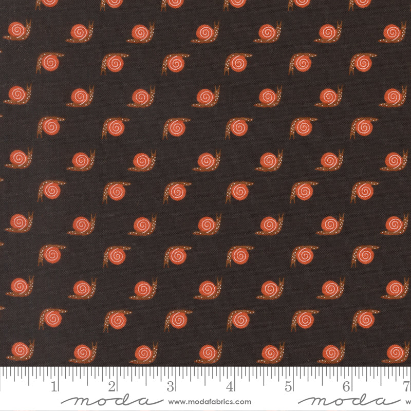 (548427/ 24 - Midnight)