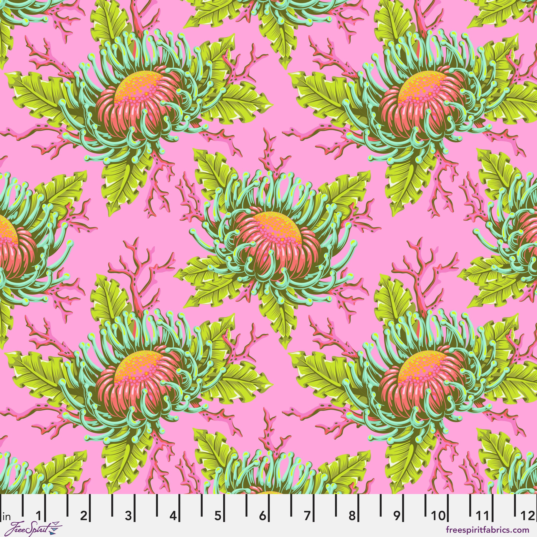 (PWTP265/ Coral LIne)