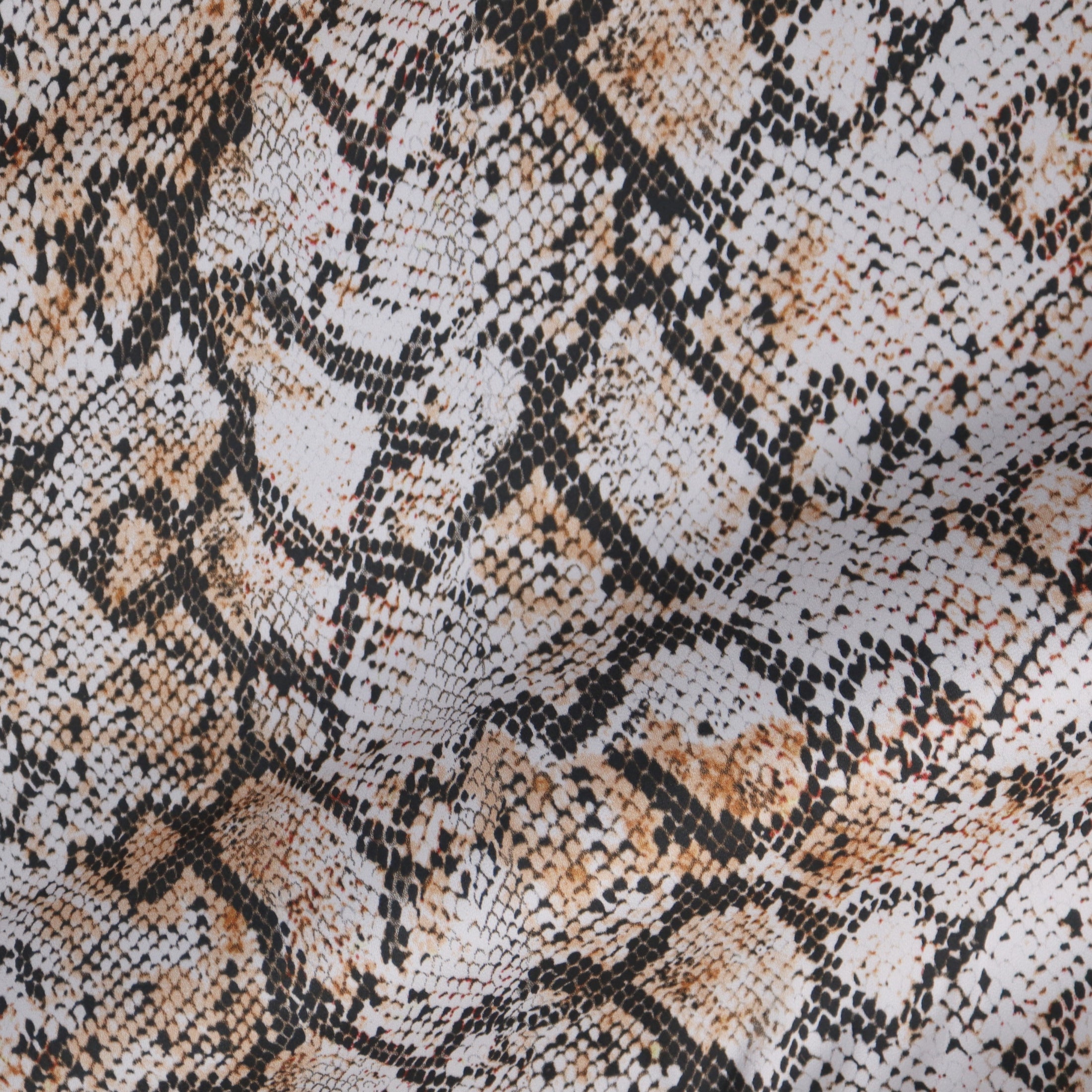 (Reptile/ Ivory/Black)