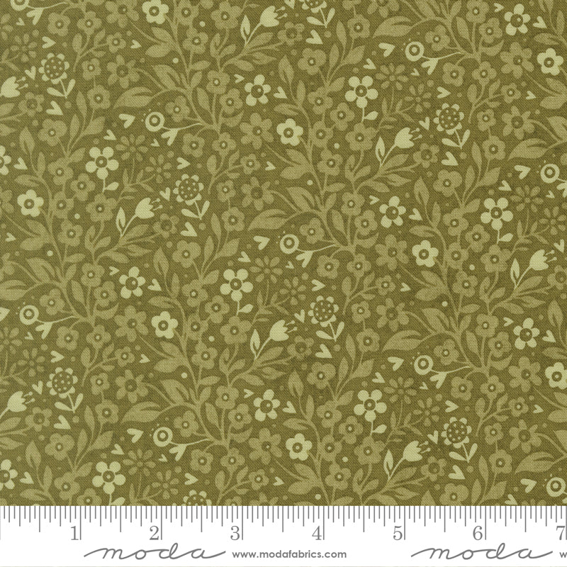 (530783/ 13 - Basil)