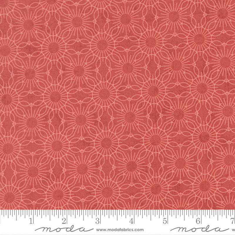 (530784/ 16 - Azalea)