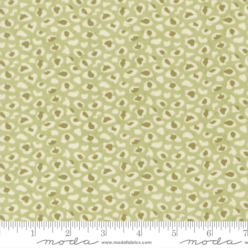 (530785/ 12 - Moss)
