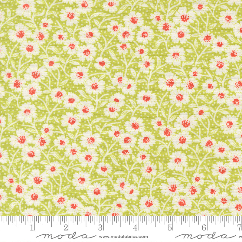 (535424/ 20 - Green Apple)