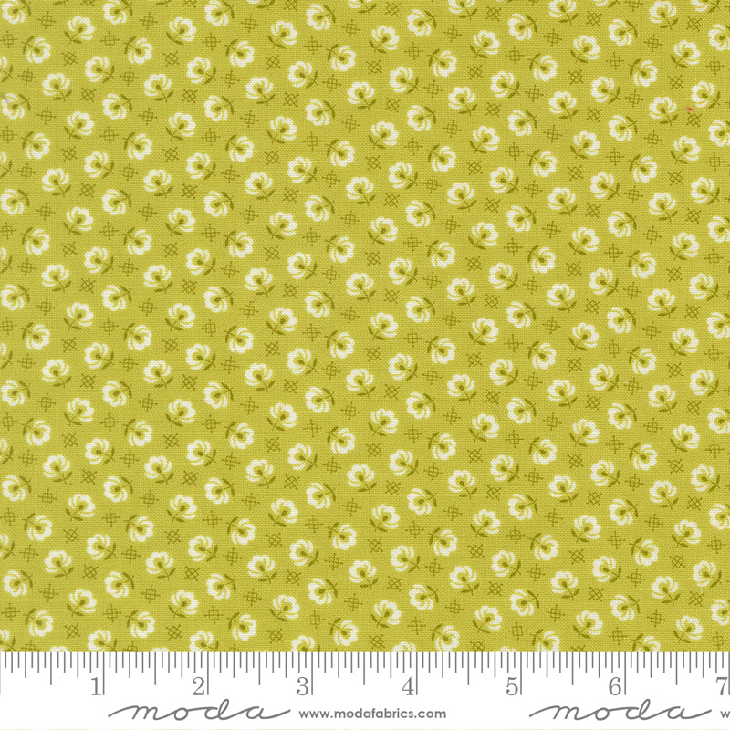 (535425/ 20 - Green Apple)