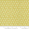 Load image into Gallery viewer, (535426/ 20 - Green Apple)
