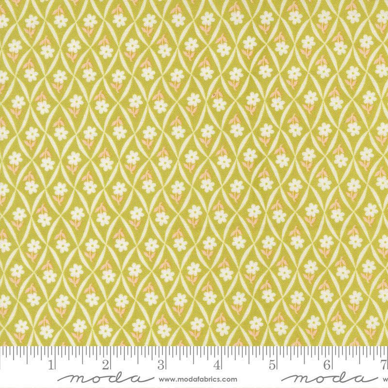 (535426/ 20 - Green Apple)