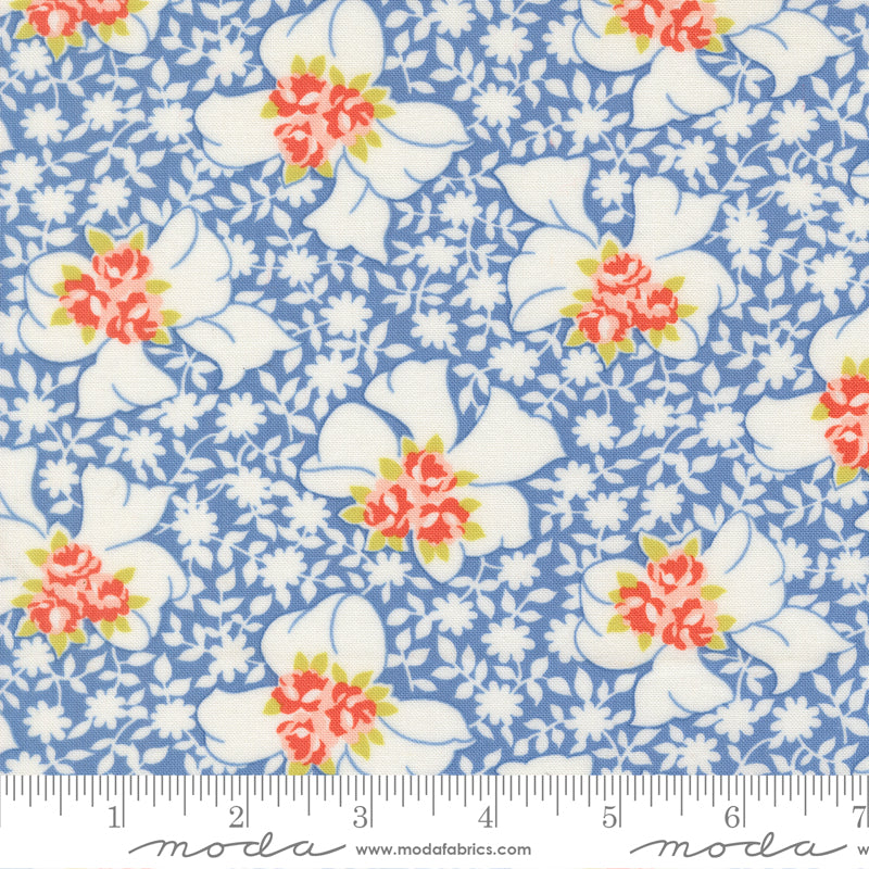 (535421/ 18 - Blueberry)