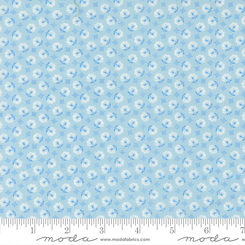 (535425/ 16 - Forget Me Not)