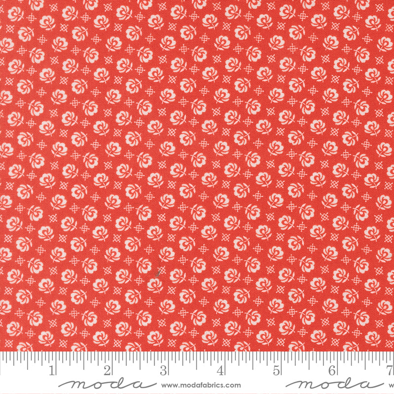 (535425/ 14 - Strawberry)