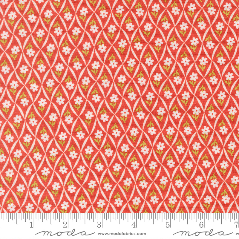 (535426/ 14 - Strawberry)