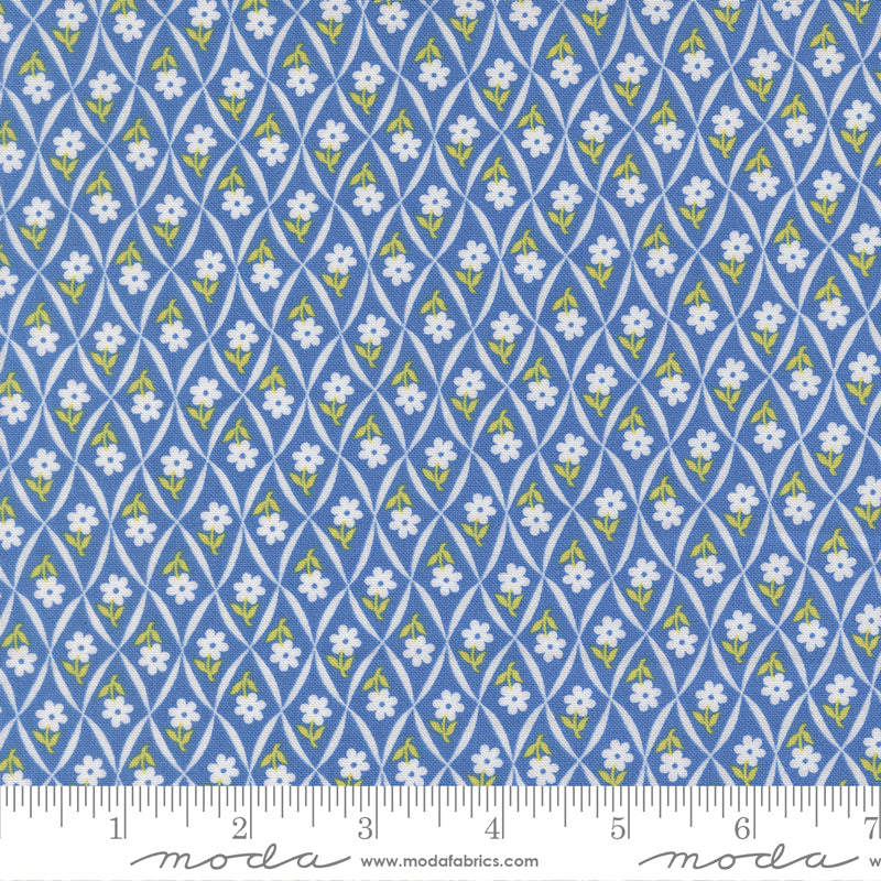 (535426/ 18 - Blueberry)
