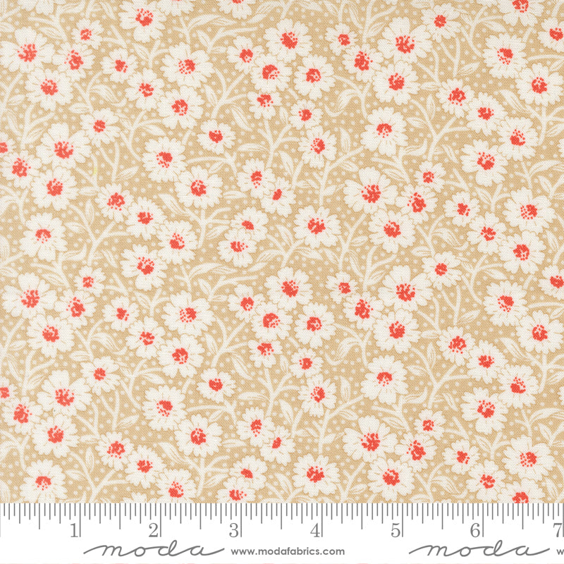 (535424/ 12 - Garden Path)