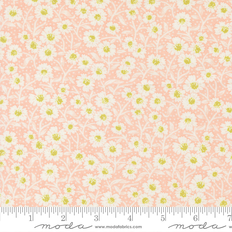 (535424/ 13 - Rose)