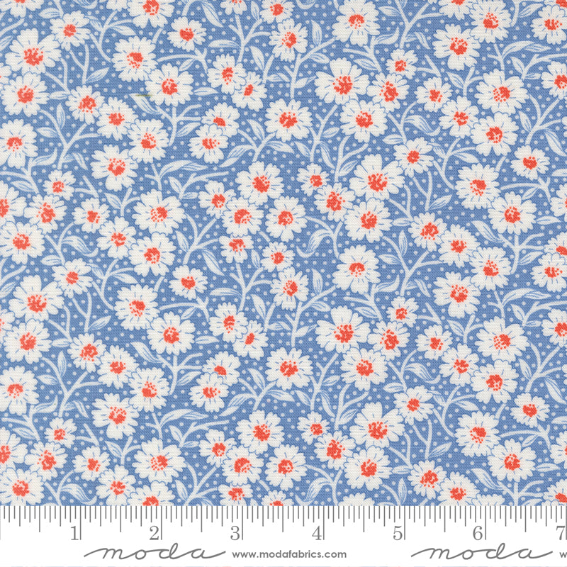 (535424/ 18 - Blueberry)