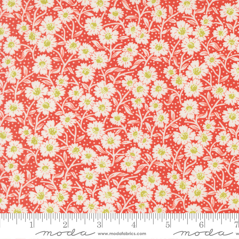 (535424/ 14 - Strawberry)